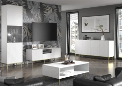 Witryna Ravenna C Diament 1DS 217cm, biały mat / biały połysk - nogi czarne metalowe - w salonie