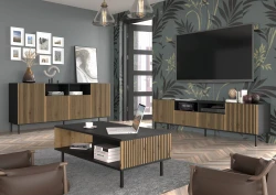 Szafka RTV Ravenna F 200cm 2D2S, frez MDF malowany z ramą, czarny mat / dąb artisan - nogi metalowe złote - w aranżacji